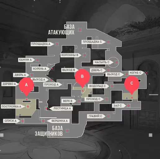 Карта позиций Lotus